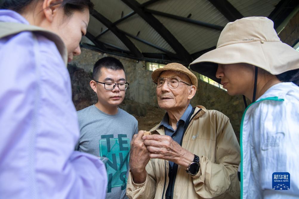 摇钱树捕鱼手机版